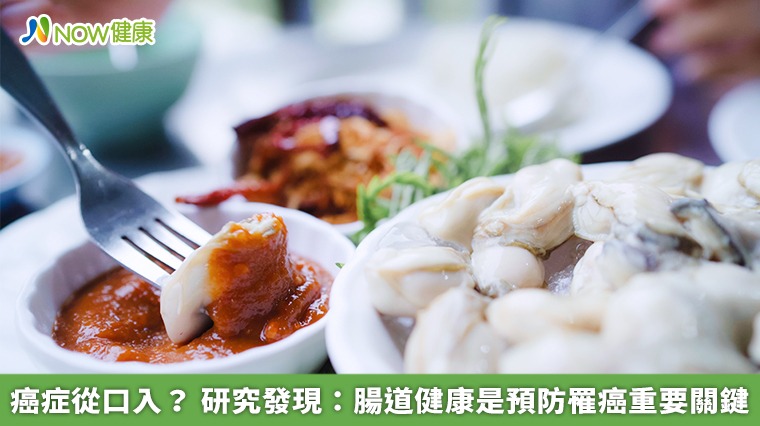 癌症從口入？ 研究發現：腸道健康是預防罹癌重要關鍵