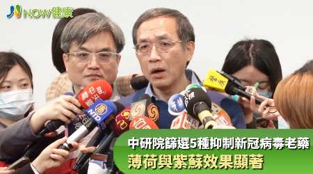 中研院篩選5種抑制新冠病毒老藥 薄荷與紫蘇效果顯著