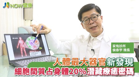 人體最大器官新發現 細胞間質占身體20%潛藏療癒密碼