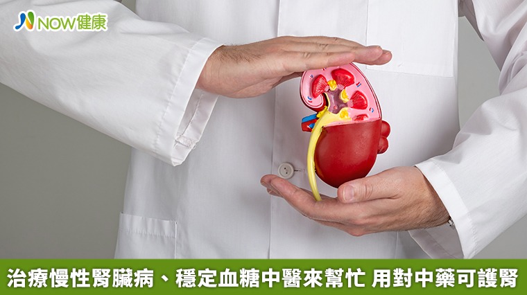 治療慢性腎臟病、穩定血糖中醫來幫忙 用對中藥可護腎