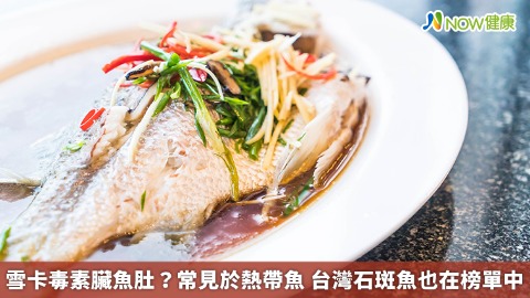 雪卡毒素臟魚肚？常見於熱帶魚 台灣石斑魚也在榜單中