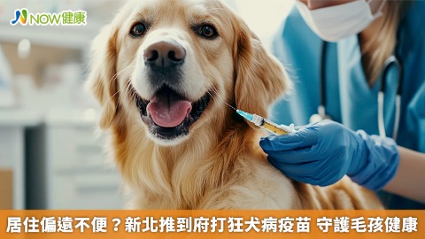 居住偏遠不便？新北推到府打狂犬病疫苗 守護毛孩健康