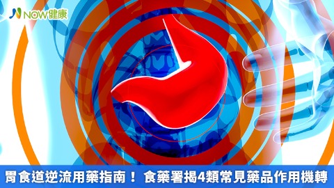 胃食道逆流用藥指南！ 食藥署揭4類常見藥品作用機轉