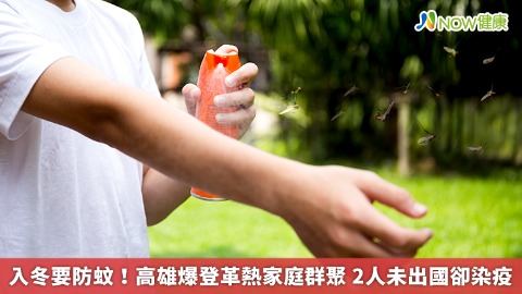 入冬要防蚊！高雄爆登革熱家庭群聚 2人未出國卻染疫 