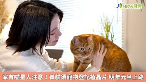 家有喵星人注意！養貓須寵物登記植晶片 明年元旦上路
