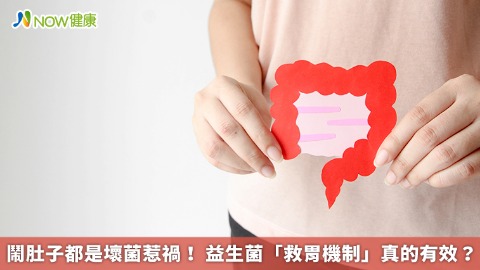 鬧肚子都是壞菌惹禍！ 益生菌「救胃機制」真的有效？