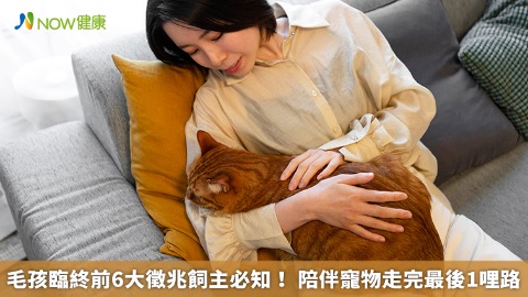毛孩臨終前6大徵兆飼主必知！ 陪伴寵物走完最後1哩路