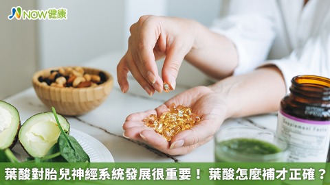 葉酸對胎兒神經系統發展很重要！ 葉酸怎麼補才正確？ 