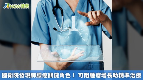 國衛院發現肺腺癌關鍵角色！ 可阻腫瘤增長助精準治療