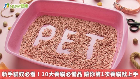 新手貓奴必看！10大養貓必備品 讓你第1次養貓就上手