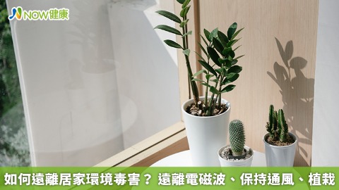 如何遠離居家環境毒害？ 遠離電磁波、保持通風、植栽