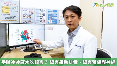 手腳冰冷麻木吃銀杏？ 銀杏果助排毒、銀杏葉保護神經