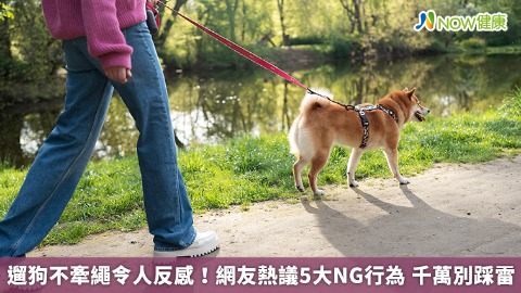 遛狗不牽繩令人反感！網友熱議5大NG行為 千萬別踩雷