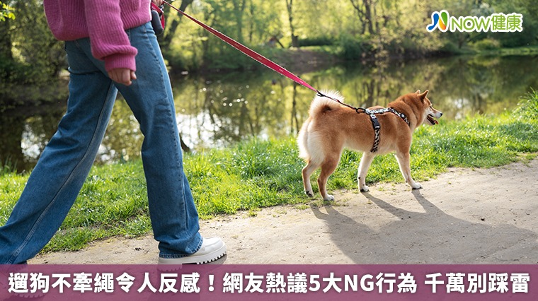 遛狗不牽繩令人反感！網友熱議5大NG行為 千萬別踩雷