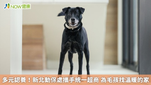 多元認養！新北動保處攜手統一超商 為毛孩找溫暖的家