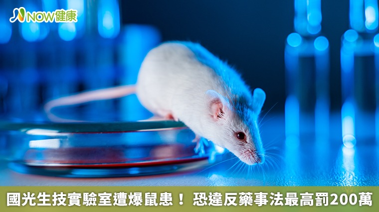 國光生技實驗室遭爆鼠患！ 恐違反藥事法最高罰200萬