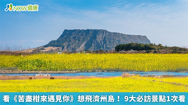 看《苦盡柑來遇見你》想飛濟州島！ 9大必訪景點1次看