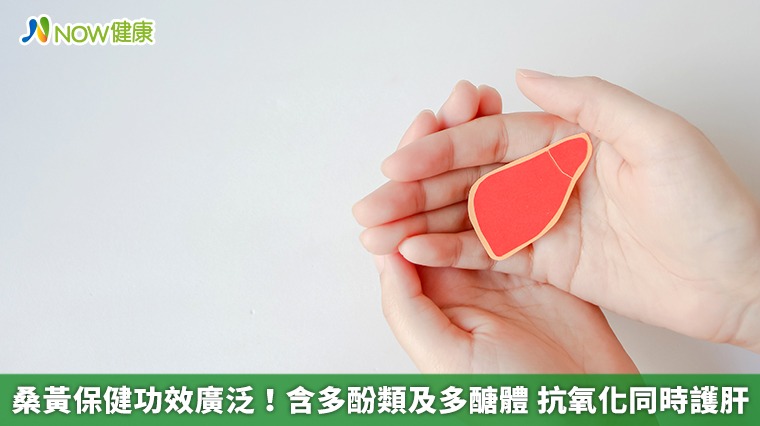 桑黃保健功效廣泛！含多酚類及多醣體 抗氧化同時護肝