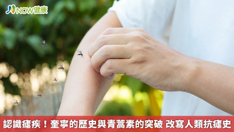 認識瘧疾！奎寧的歷史與青蒿素的突破 改寫人類抗瘧史