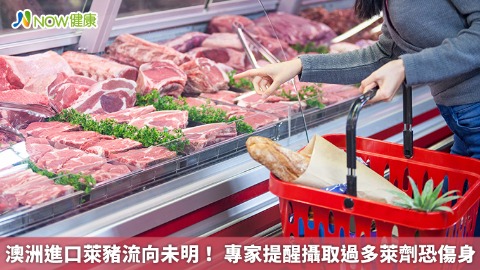 澳洲進口萊豬流向未明！ 專家提醒攝取過多萊劑恐傷身