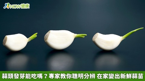 蒜頭發芽能吃嗎？專家教你聰明分辨 在家變出新鮮蒜苗