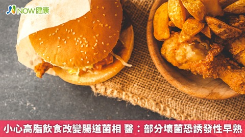 小心高脂飲食改變腸道菌相 醫：部分壞菌恐誘發性早熟
