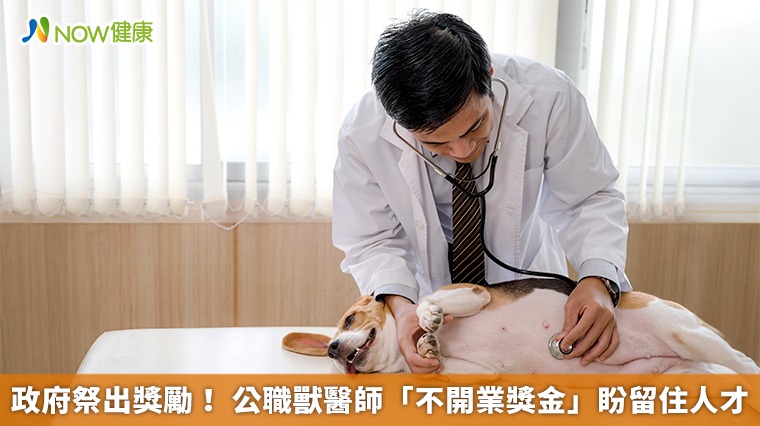 政府祭出獎勵！ 公職獸醫師「不開業獎金」盼留住人才