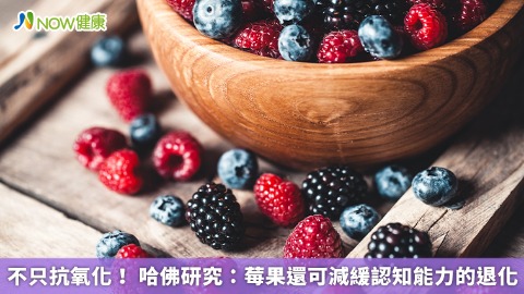 不只抗氧化！ 哈佛研究：莓果還可減緩認知能力的退化