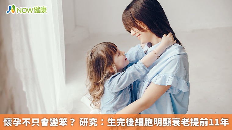 懷孕不只會變笨？ 研究：生完後細胞明顯衰老提前11年