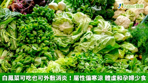 白鳳菜可吃也可外敷消炎！屬性偏寒涼 體虛和孕婦少食