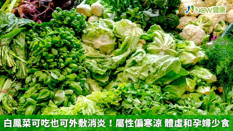 白鳳菜可吃也可外敷消炎！屬性偏寒涼 體虛和孕婦少食