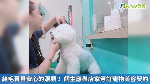 給毛寶貝安心的照顧！ 飼主應與店家簽訂寵物美容契約