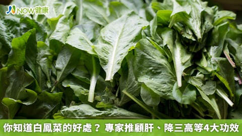 你知道白鳳菜的好處？ 專家推顧肝、降三高等4大功效