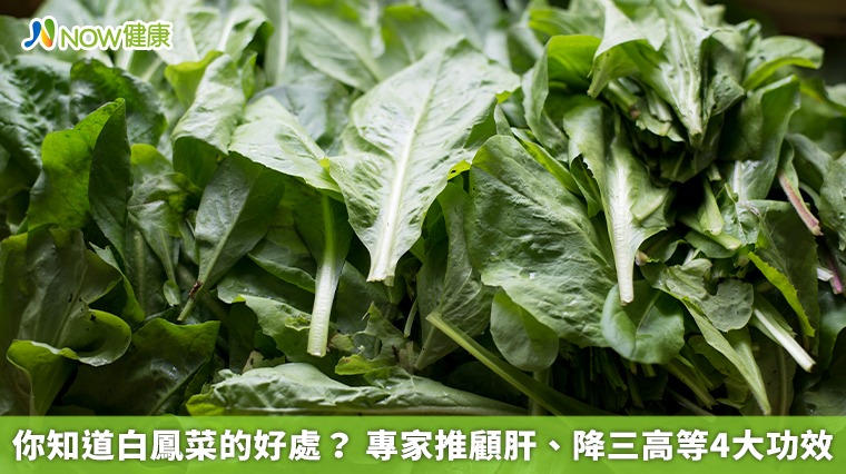 你知道白鳳菜的好處？ 專家推顧肝、降三高等4大功效