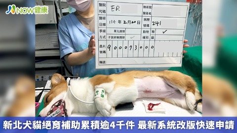 新北犬貓絕育補助累積逾4千件 最新系統改版快速申請  