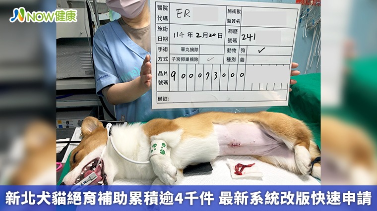 新北犬貓絕育補助累積逾4千件 最新系統改版快速申請  