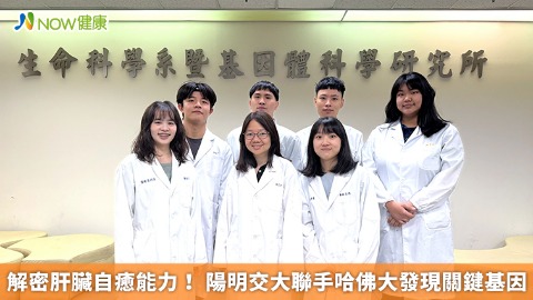 解密肝臟自癒能力！ 陽明交大聯手哈佛大發現關鍵基因