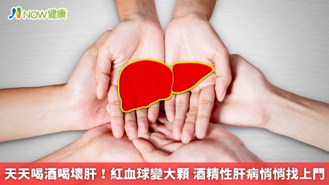 天天喝酒喝壞肝！紅血球變大顆 酒精性肝病悄悄找上門