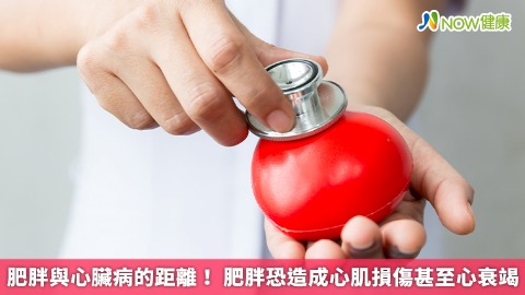 肥胖與心臟病的距離！ 肥胖恐造成心肌損傷甚至心衰竭