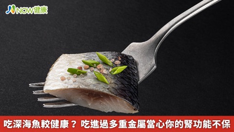 吃深海魚較健康？ 吃進過多重金屬當心你的腎功能不保