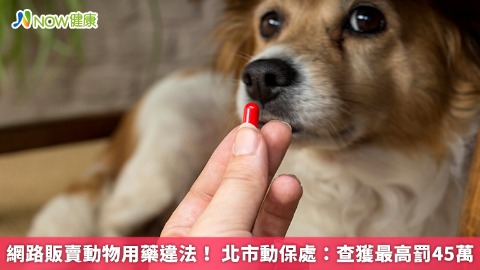 網路販賣動物用藥違法！ 北市動保處：查獲最高罰45萬
