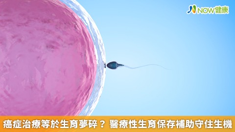 癌症治療等於生育夢碎？ 醫療性生育保存補助守住生機