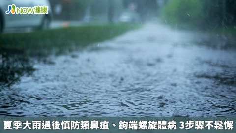 夏季大雨過後慎防類鼻疽、鉤端螺旋體病 3步驟不鬆懈