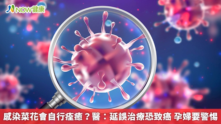 感染菜花會自行痊癒？醫：延誤治療恐致癌 孕婦要警惕