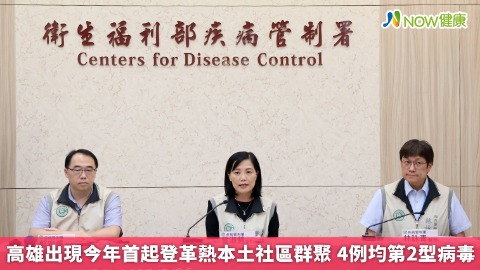 高雄出現今年首起登革熱本土社區群聚 4例均第2型病毒