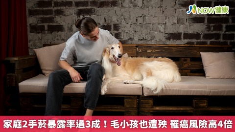 家庭2手菸暴露率過3成！毛小孩也遭殃 罹癌風險高4倍