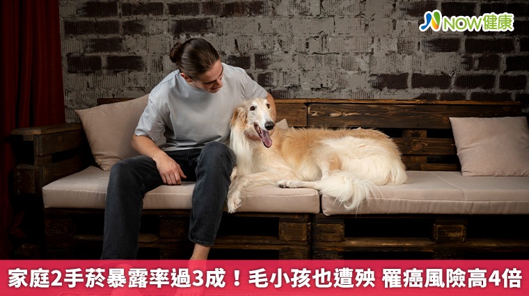家庭2手菸暴露率過3成！毛小孩也遭殃 罹癌風險高4倍