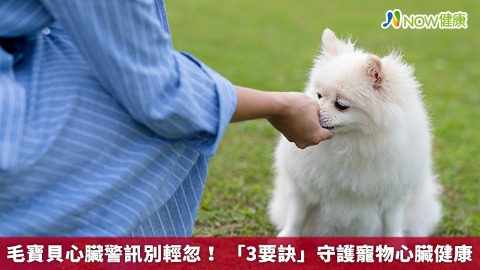 毛寶貝心臟警訊別輕忽！ 「3要訣」守護寵物心臟健康