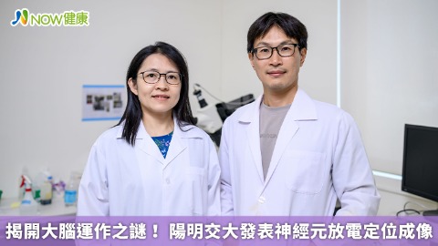 揭開大腦運作之謎！ 陽明交大發表神經元放電定位成像