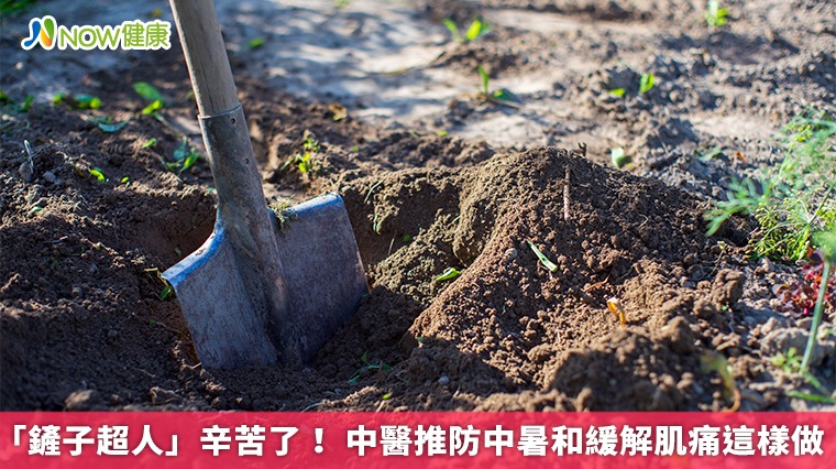 「鏟子超人」辛苦了！ 中醫推防中暑和緩解肌痛這樣做
